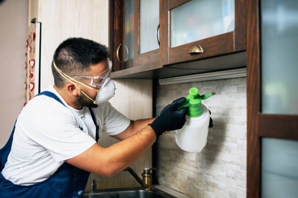 Best Pest Prevention Services  in Wooster, OH