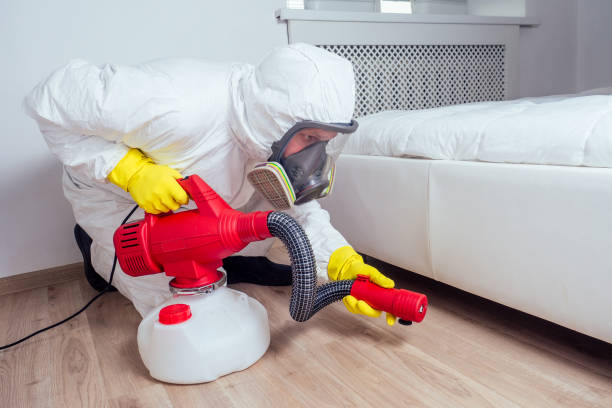 Best Wasp Removal Services  in Wooster, OH