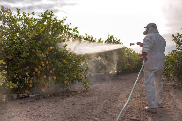 Best Commercial Pest Control Services  in Wooster, OH
