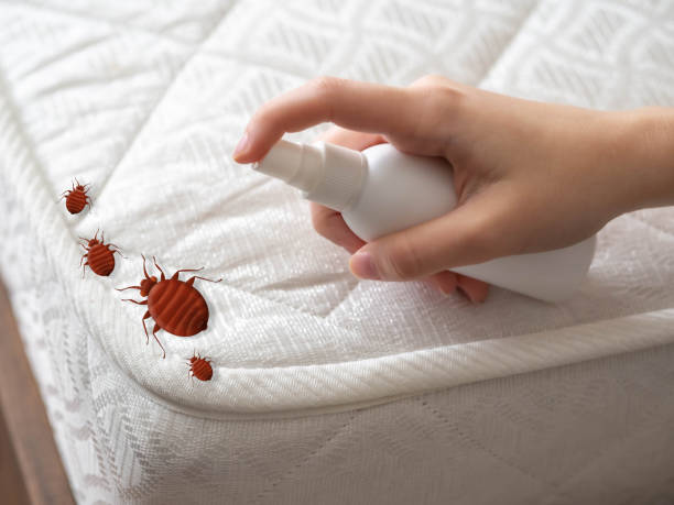 Best Pest Removal Services  in Wooster, OH