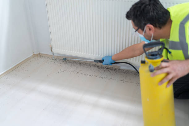 Trusted Wooster, OH Pest Control Experts