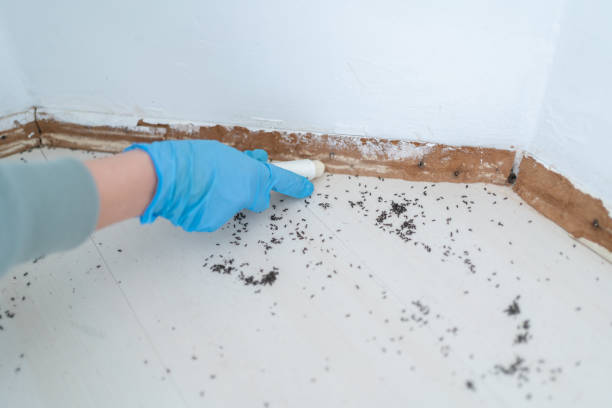 Best Wildlife Control Services  in Wooster, OH