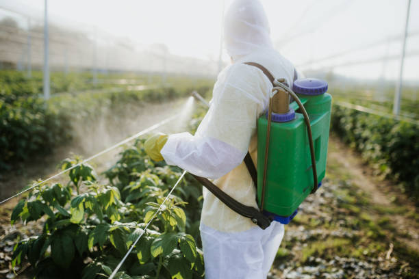 Best Emergency Pest Control  in Wooster, OH